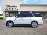 2023 Cadillac Escalade Premium Luxury Platinum
