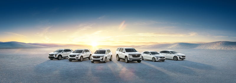 Cadillac vehciles parked outside while the sun is rising